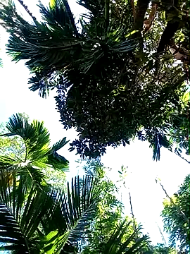 Johlrd online show from November 2025 05:18:02 AM