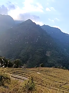 MuiNay online show from November 2025 09:09:02 AM