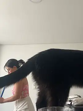 larsonbeverly online show from April 2026 07:23:01 PM