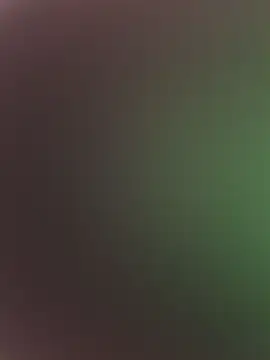 high3ndlowlife online show from February 2026 07:31:01 PM