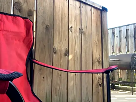 Insurance-03 online show from October 2025 04:13:01 PM