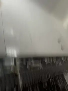 Snapshot of NoddingScorpion chatting on March 2026 10:30:02 AM NoddingScorpion online show from March 2026 10:30:02 AM