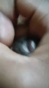 Snapshot of Vizgeboys chatting on December 2025 06:03:02 PM Vizgeboys online show from December 2025 06:03:02 PM