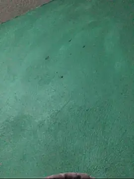 carlo20n online show from October 2025 11:49:02 PM