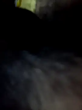 Arrowperfect100 online show from January 2026 03:06:01 PM