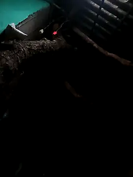 Suhana pandit online show from September 2025 09:19:01 PM