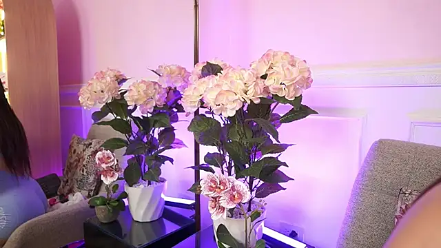 MilaCrave online show from January 2026 11:37:02 AM