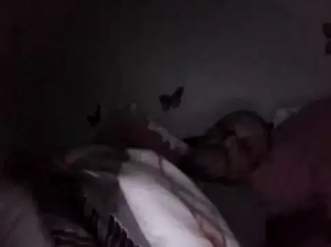 Snapshot of Hisnimin chatting on February 2026 03:57:02 AM Hisnimin online show from February 2026 03:57:02 AM