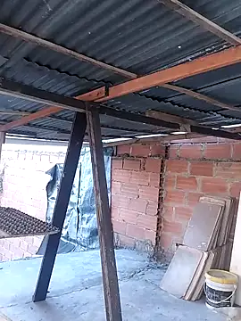 hoteder online show from November 2025 11:54:02 AM