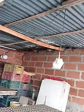 hoteder online show from December 2025 12:47:01 PM