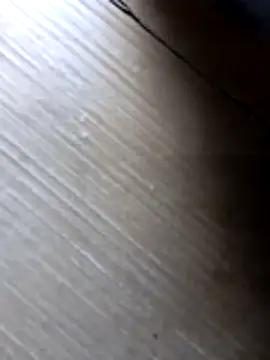 Snapshot of liza-212 chatting on October 2025 09:41:02 AM liza-212 online show from October 2025 09:41:02 AM