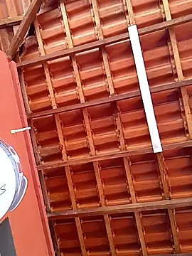 RaphinhaSanches online show from November 2025 01:00:01 PM