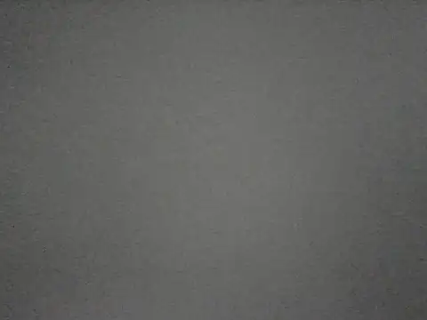 misticamey online show from February 2026 03:13:02 PM