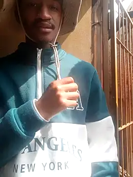 gemini loops online show from November 2025 12:15:01 PM