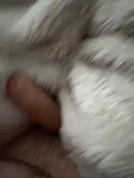 Snapshot of cumshot_foryou chatting on March 2026 04:04:01 PM cumshot foryou online show from March 2026 04:04:01 PM