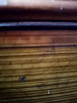 Shruti Bhabhi38 online show from November 2025 05:59:01 PM