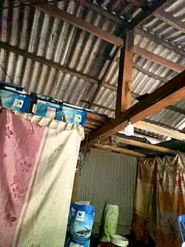 PhanHaa online show from October 2025 08:59:01 AM