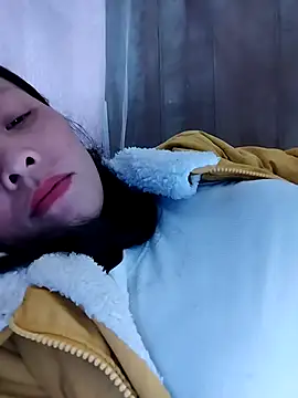 Sinejdk3 online show from November 2025 11:05:01 PM