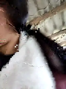 Sinejdk3 online show from February 2026 09:38:01 AM