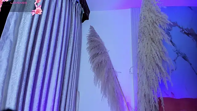 ShaunaDream online show from November 2025 04:40:02 AM