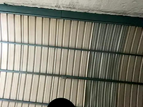 rider239 online show from October 2025 09:28:01 AM