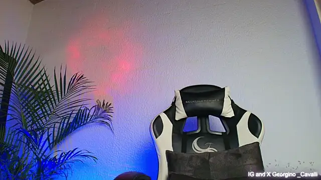 georgino cavalli online show from October 2025 04:43:01 AM