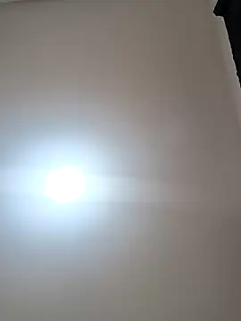 butterfly777  online show from February 2026 12:27:02 AM