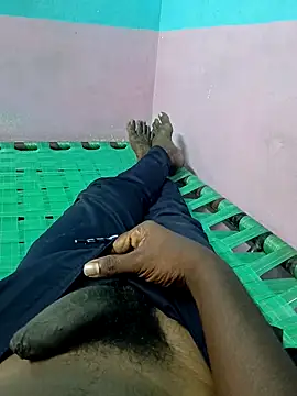 dolphiinn online show from October 2025 08:34:02 AM