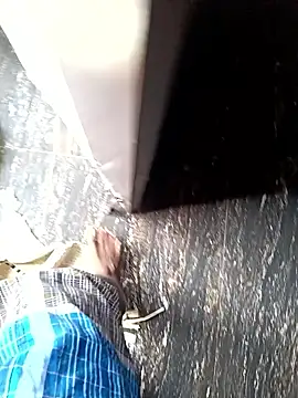 dolphiinn online show from October 2025 01:28:01 AM