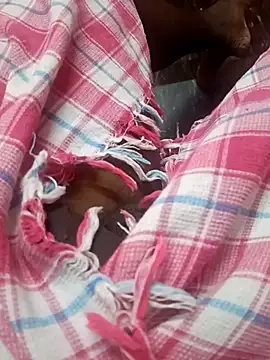 dolphiinn online show from November 2025 01:44:02 PM