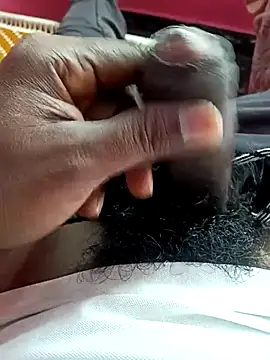 dolphiinn online show from December 2025 04:54:01 AM