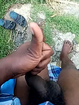 dolphiinn online show from January 2026 01:40:01 AM