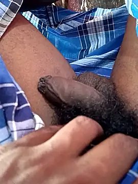 dolphiinn online show from January 2026 05:55:01 AM