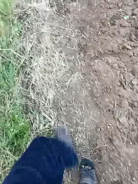 dolphiinn online show from February 2026 01:24:02 AM