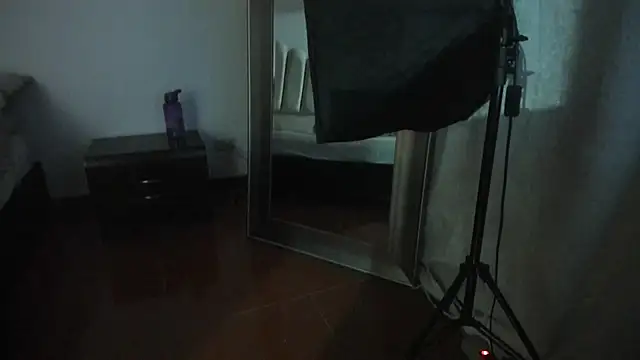 Snapshot of Valey_x chatting on January 2026 04:22:02 PM Valey x online show from January 2026 04:22:02 PM