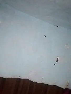 Rakhi j online show from February 2026 02:21:02 AM