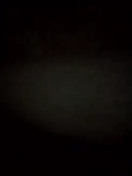 Snapshot of RevokingWaverer chatting on February 2026 12:10:02 PM RevokingWaverer online show from February 2026 12:10:02 PM