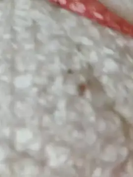 Markroco696 online show from November 2025 05:38:01 AM