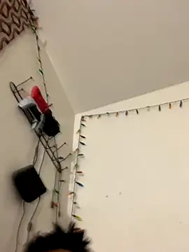 DanBfl online show from October 2025 11:59:01 PM