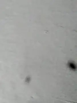 Snapshot of Mollysdick chatting on April 2026 02:18:02 PM Mollysdick online show from April 2026 02:18:02 PM