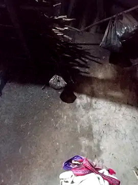  Helala  online show from November 2025 12:32:02 AM