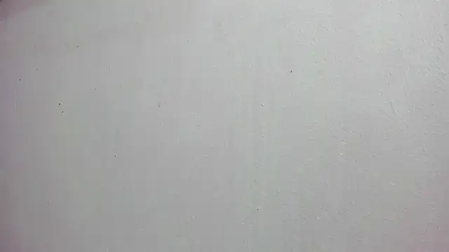 scarlett646 online show from November 2025 03:05:01 AM