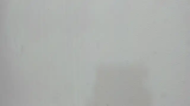 scarlett646 online show from November 2025 03:06:01 AM