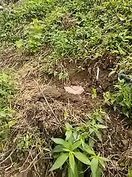 venu00 online show from April 2026 01:42:02 AM