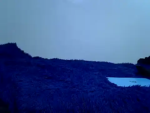 Goodwill G online show from March 2026 01:04:02 PM