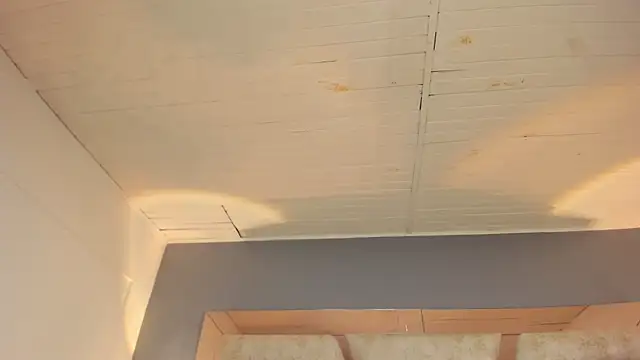 BellaBoobs  online show from February 2026 10:14:01 PM