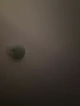 Troydaddy578 online show from April 2026 04:24:01 AM