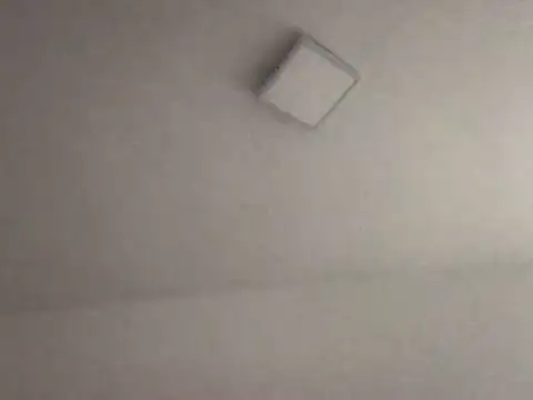 Snapshot of alegriadodia chatting on October 2025 07:55:02 PM alegriadodia online show from October 2025 07:55:02 PM