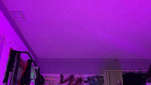 xoFrankie online show from November 2025 05:13:02 AM