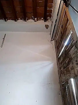 PunjabiSardarBull online show from March 2026 05:00:01 AM